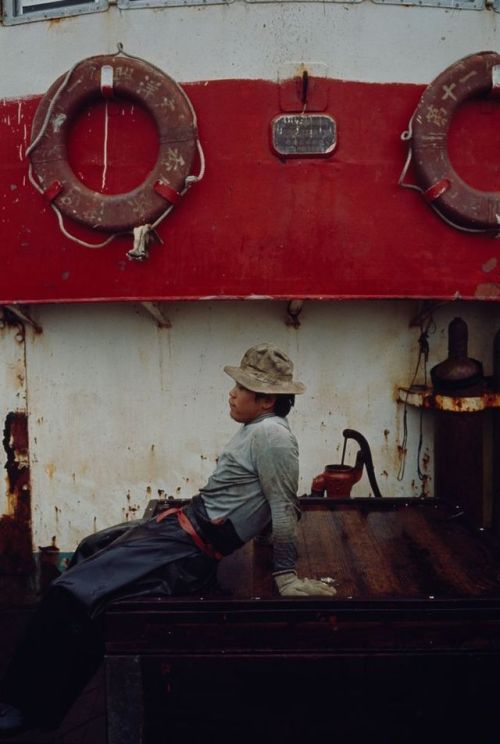 s-h-o-w-a:Tokyo fish market, 1964Ph. Brian Brake