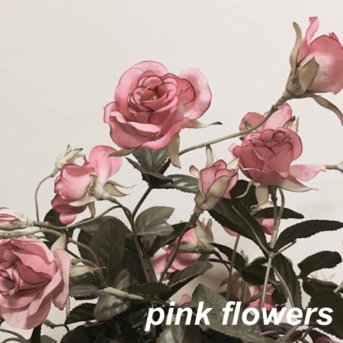 lovlesbian: PINK FLOWERS a mix for @nickyhemmick i. strawberry blond - mitski // ii. field below - r