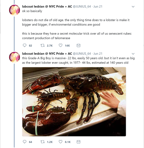 the-punning-ubus: catchymemes:  Conditional Immortality of Lobsters   so its either being eaten by humans in the end or being eaten by bacteria in a suit to tight for them in the end honestly i cant decide which is worse 
