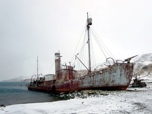 Porn photo travelingcolors:Grytviken, South Georgia