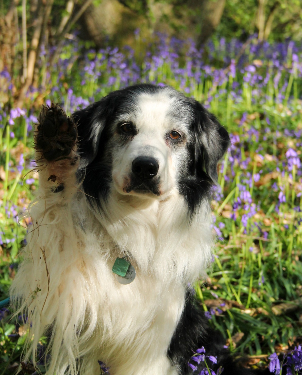 5th May I’d planned on a woodland walk but Flynn kept asking if we could go play in the orchards & crop fields (1st pic, he’