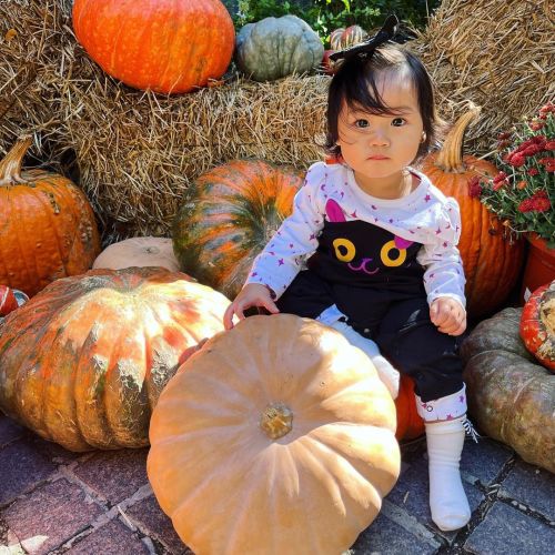 Little Olivia finds pumpkins very concerning… #baby #babygirl #10monthsold #fall #curiousbaby  https