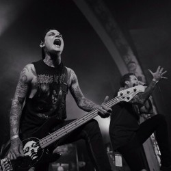 lettheoceantakemee:  The Amity Affliction