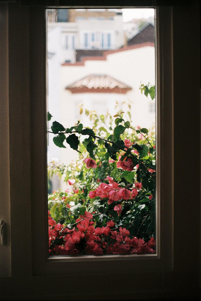 m&ndash;i-s-t-i-c-a:  hellanne:  (by j.m.r.)  PHOTOGRAPHY BLOG♡