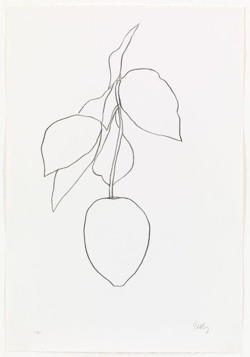 marcolikestowatch:Ellsworth Kelly