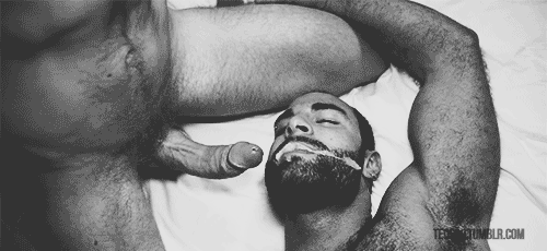 hungryrawpigxxx:  http://hungryrawpigxxx.tumblr.com/archive 