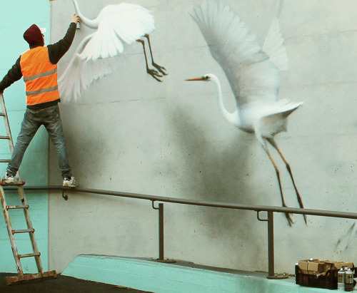 itscolossal: Ethereal Bird Murals on the Streets of Riccione by ‘Eron’