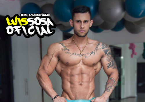 yortamn:Luis Sosa (4)