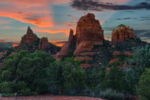 wapiti3:  Guy Schmickle photos (The Desert Southwest -Magical Sedona ) on Flickr. 1-An Agave Trio and Mitten Ridge  2-Harding Springs in Oak Creek Canyon, Arizona 3-The Cibola Mitten at Sunset - Sedona, Arizona 4-Fiery Sunset Over Mitten Ridge - Sedona,
