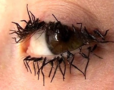 beyoncebadu:  dookiediamonds:  juicymixtape: unexplained-events:  These eyelashes may seem like they are heavily mascara-ed, but they are actually made of fly legs. This controversial statement is the work of artist Jessica Harrison.     Bruh ew  I threw