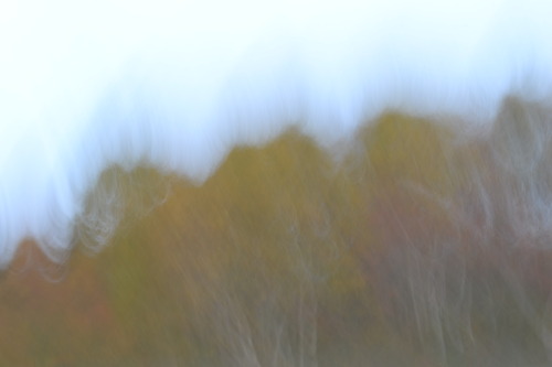 whoisbleu:  blur photography 