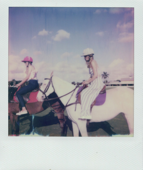 2 trips to Florida via Polaroid. 