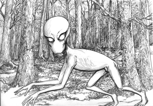 truecrimefiend: The Dover Demon The Dover Demon is a creature that was first seen on April 21, 1977,