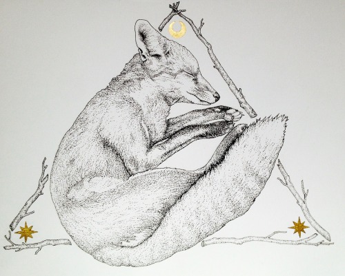 sleeping fox illustration by Jessica Enlow