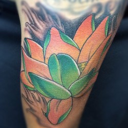 #Tattoo #Tatuaje #Ink #Flor #Flower #Flordeloto #Lotus #Loto #Lototattoo #Color #Colors
