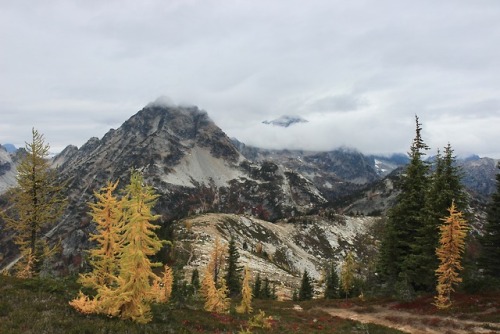 burningmine:Heather-Maple Pass, September 2018