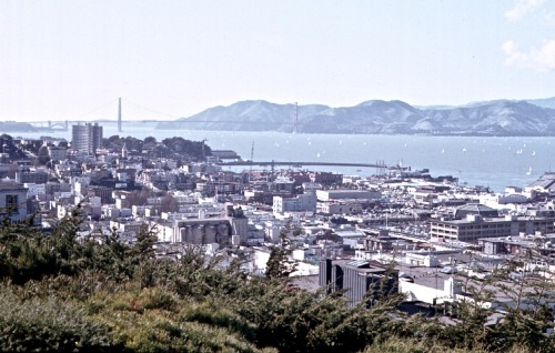 The Marina District, San Francisco Bay and the Golden Gate Bridge From the Foot of Coit Tower, San F