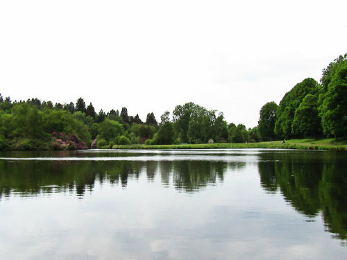 Callendar Park Pond