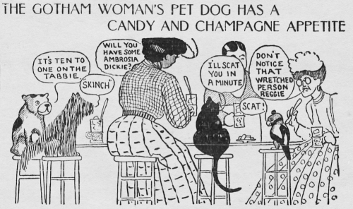 yesterdaysprint: The Evening World, New York, June 3, 1903