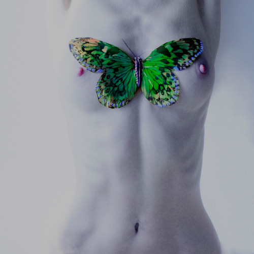 nymphoninjas:  mira-mirabiliaimages