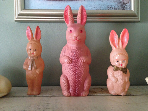 aquamarinedreamvintage: 3 Antique Celluloid Pink Bunnies by luvehorror on Flickr. 