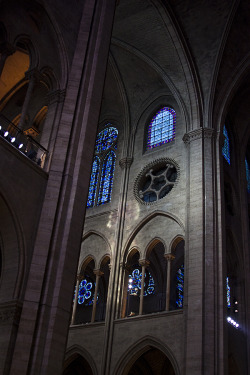 Ava-Bird:  Notre Dame, Paris. No Picture Can Capture How Breathtaking This Place