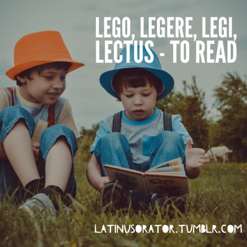 latin langblr