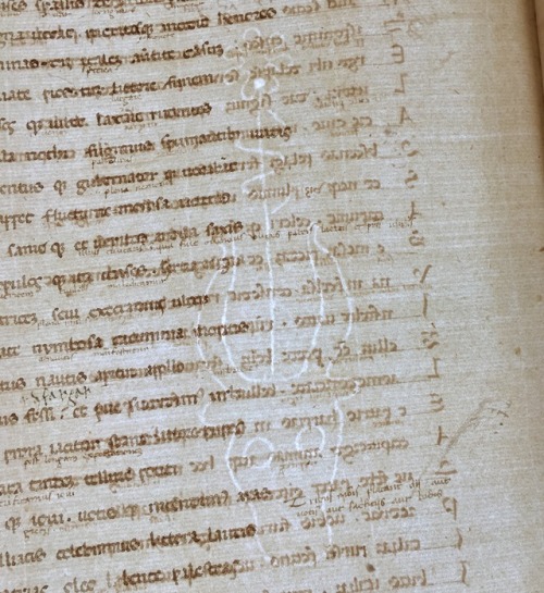 bibliophilly:The sun shines through this mid 15th century watermark for the first time in centuries!