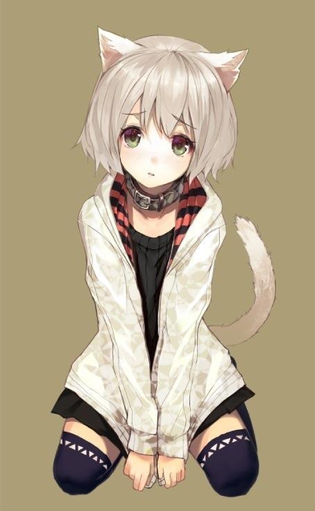 mashiro:  キラ速-KIRA☆SOKU- 二次ケモ耳画像貼ってけ part10