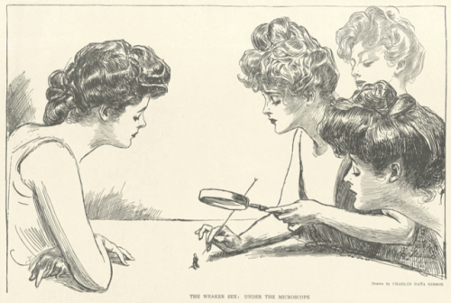 the weaker sex: under the microscope by charles dana gibson for collier’s weekly, july 1903