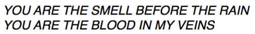vein:  ‘you are the smell before the rain  you are the blood in my veins’ 