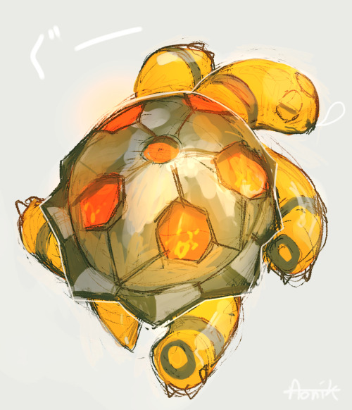 aonik:  The way tortoises sleep is sooo cute 