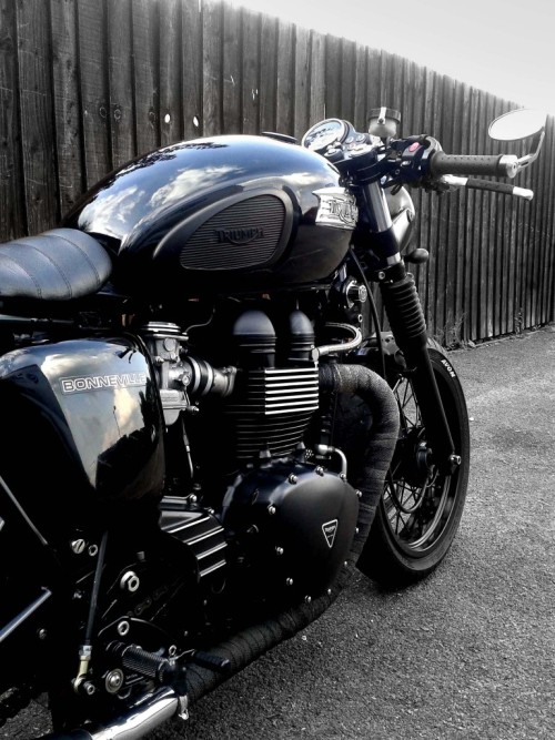 cafuneus:  Triumph 