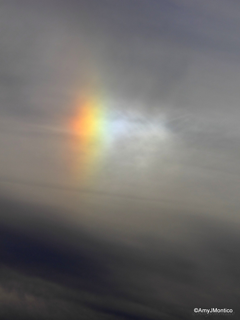 amymontico:  Who let the (sun)dog out?   Sun dogs (or sundogs), mock suns or phantom