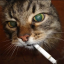 stinkybobinkyboy