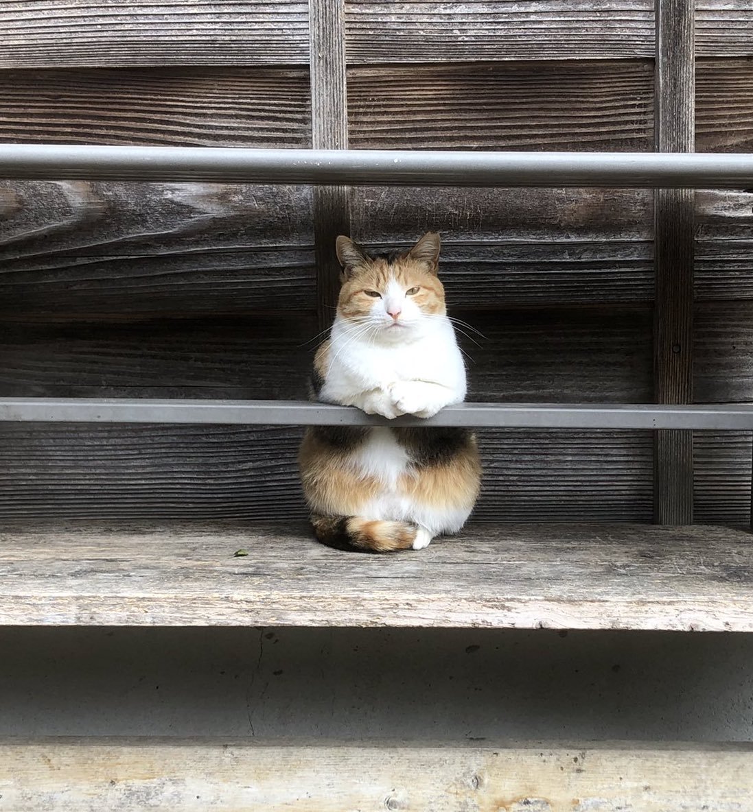 Awwwww - how she sits