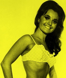 bigbennklingon:  Dawn Wells