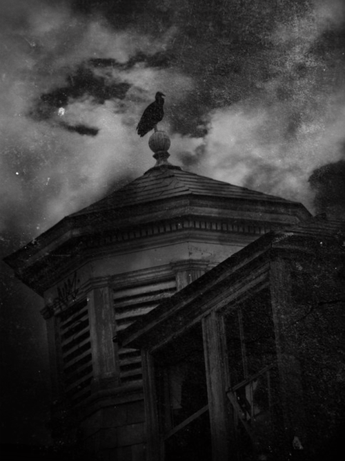 Slobbering Darkness