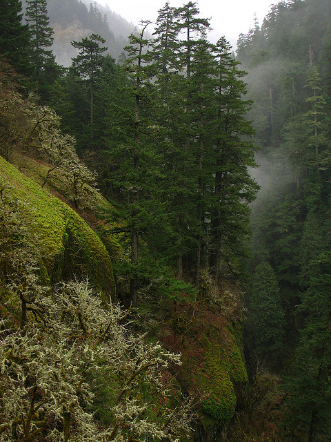 Cliffside by pdxsean on Flickr.