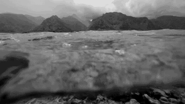 Washulerosa