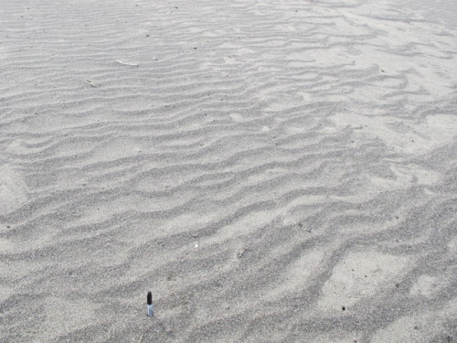 mosleymoe:saw a lot of beautiful ripples yesterday on a sediments &amp; strata field trip