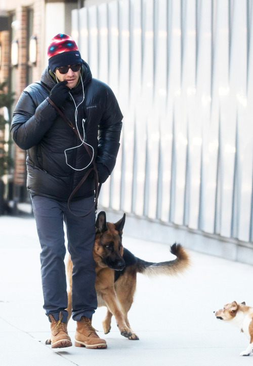 gyllenhaaldaily: Jake Gyllenhaal taking his dog for a walk on March 5, 2019 in New York City .