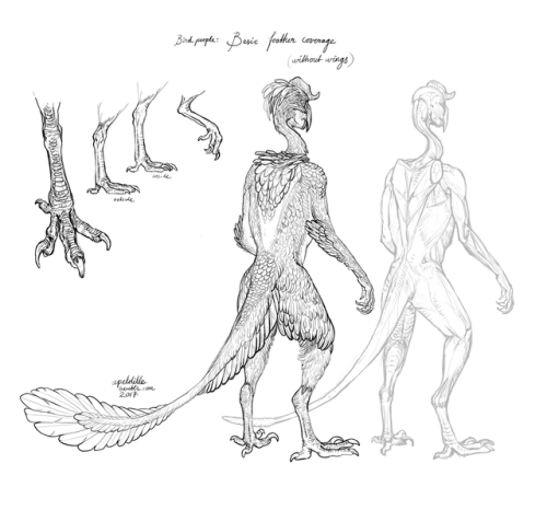 More of my bird people! Figuring out plumage and some anatomy. This is just the ‘default’ state of f