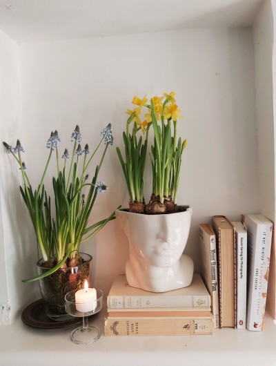 scandireader:spring on my mind 🌱