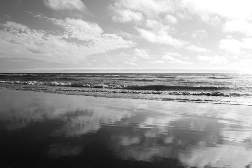 Some black and white at the coast.
