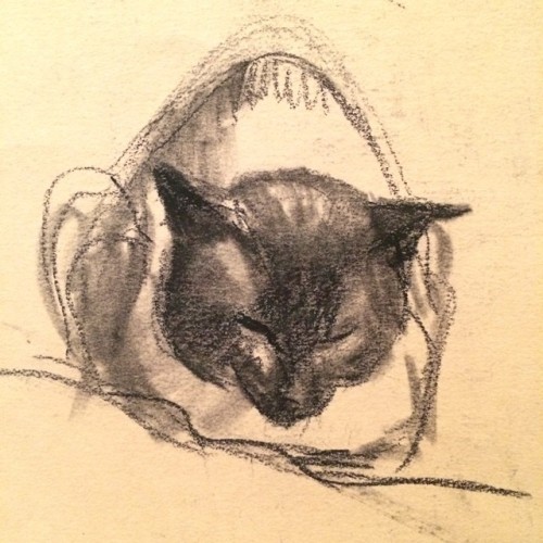 blantonmuseum:  A lovely little detail of an Edward Hopper sketch on loan from @mfahouston, now on view in #clawsandpaws.🐾 #blantonmuseum #mewseum #catsofinstagram (at The Blanton Museum of Art)