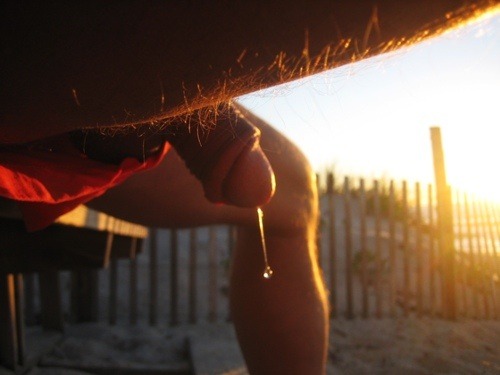 Porn thebonernetwork:  Sunset dripping…  Slurp! photos