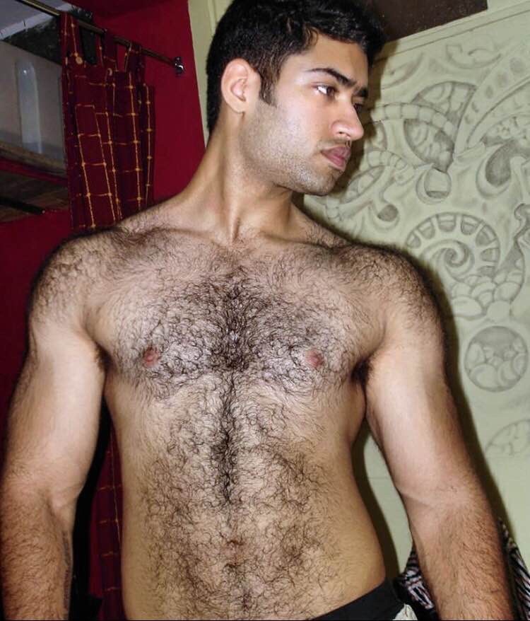 harrybacks:Hairy Shoulders 361