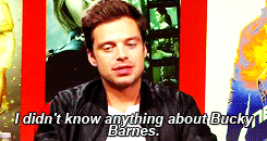 fredslastjoke:  GTKM meme: {1/5} current celebrity crushes » SEBASTIAN STAN 