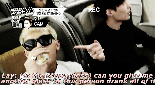 gayjikookadi:  tao drank all of lay’s juice so lay just asked for another one from the stewardess  